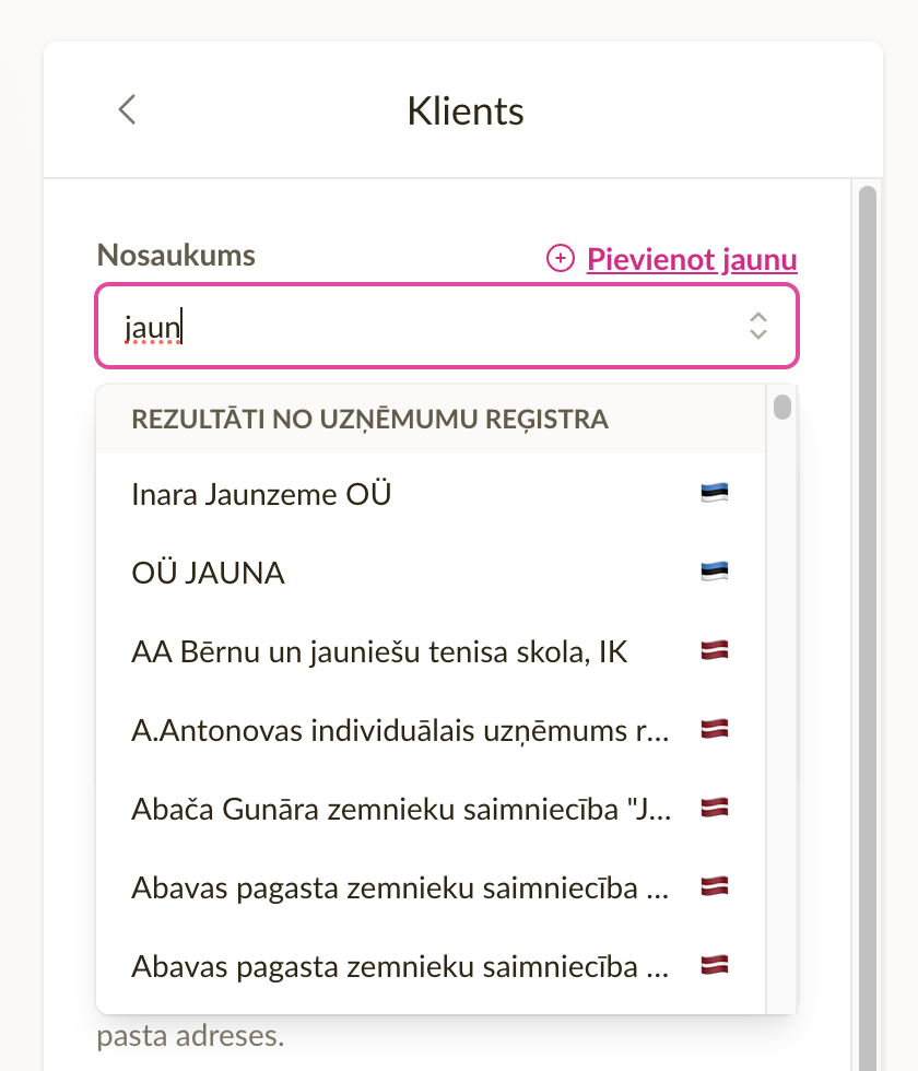 Ekrānuzņēmums, kas demonstrē uzņēmumu datu automātisko aizpildi